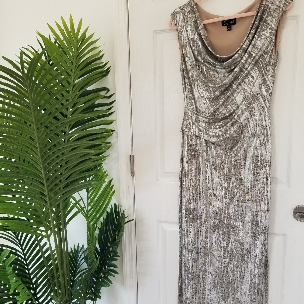 Gray Silver Dress Long size 6